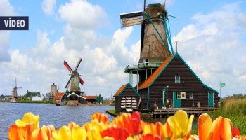 Lale Zamanını Ve Baharı Hollanda’da Karşılamaya Ne Dersiniz?
